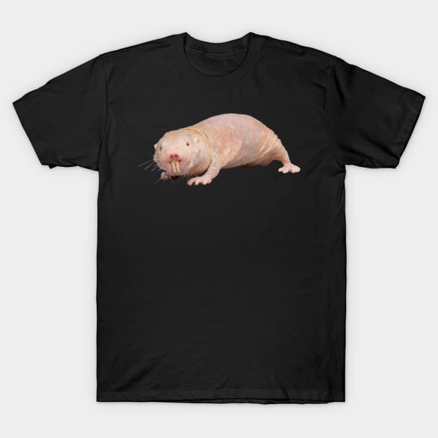 Naked Mole Rat T-Shirt by bluerockerzoo